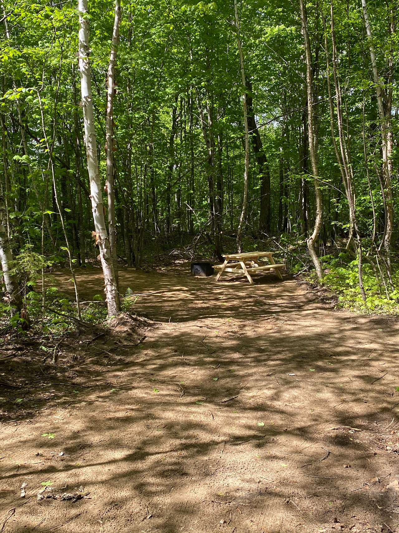 Tent Camping with Nature