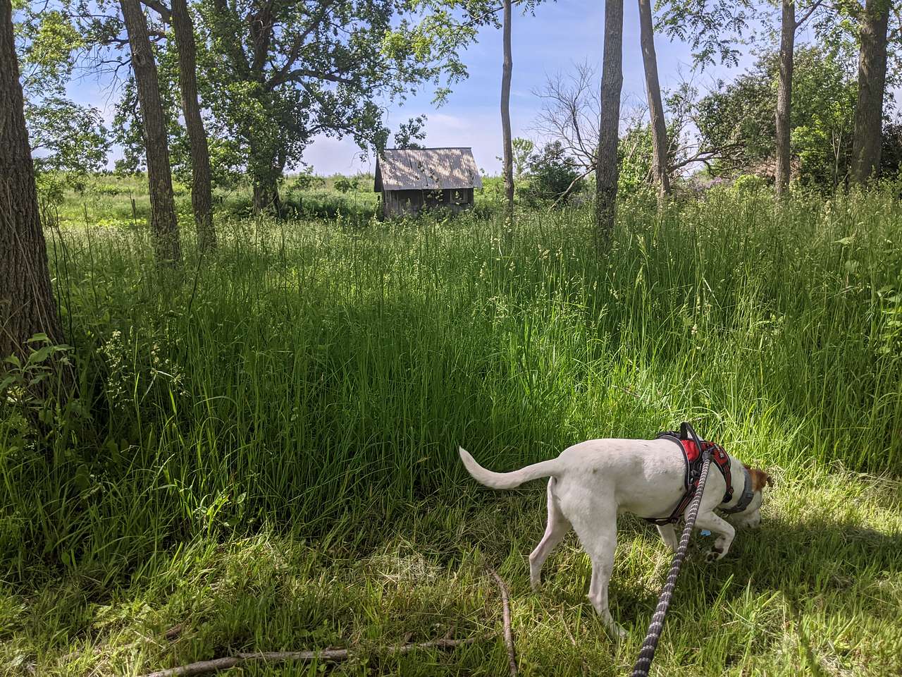 Folk School Farm Stay