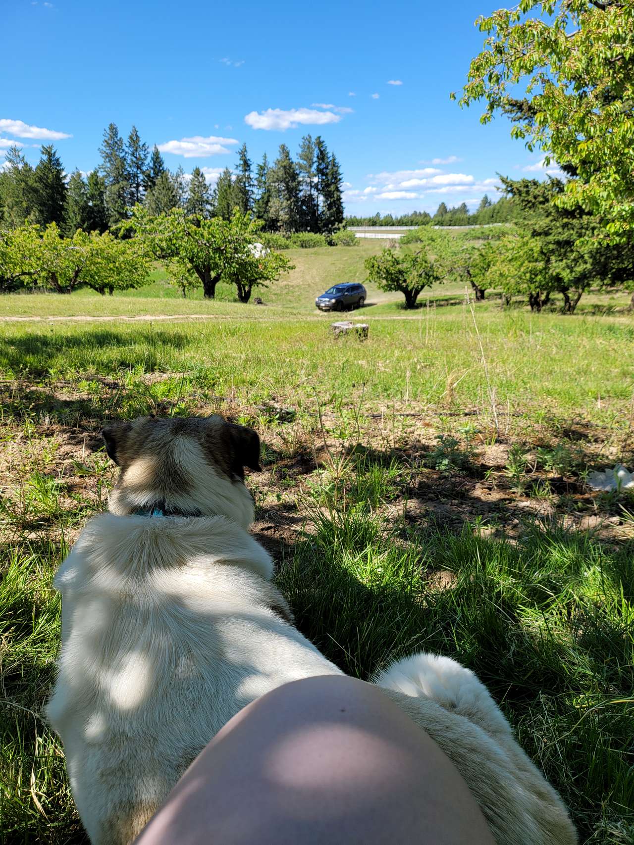 Hidden Acres Orchards