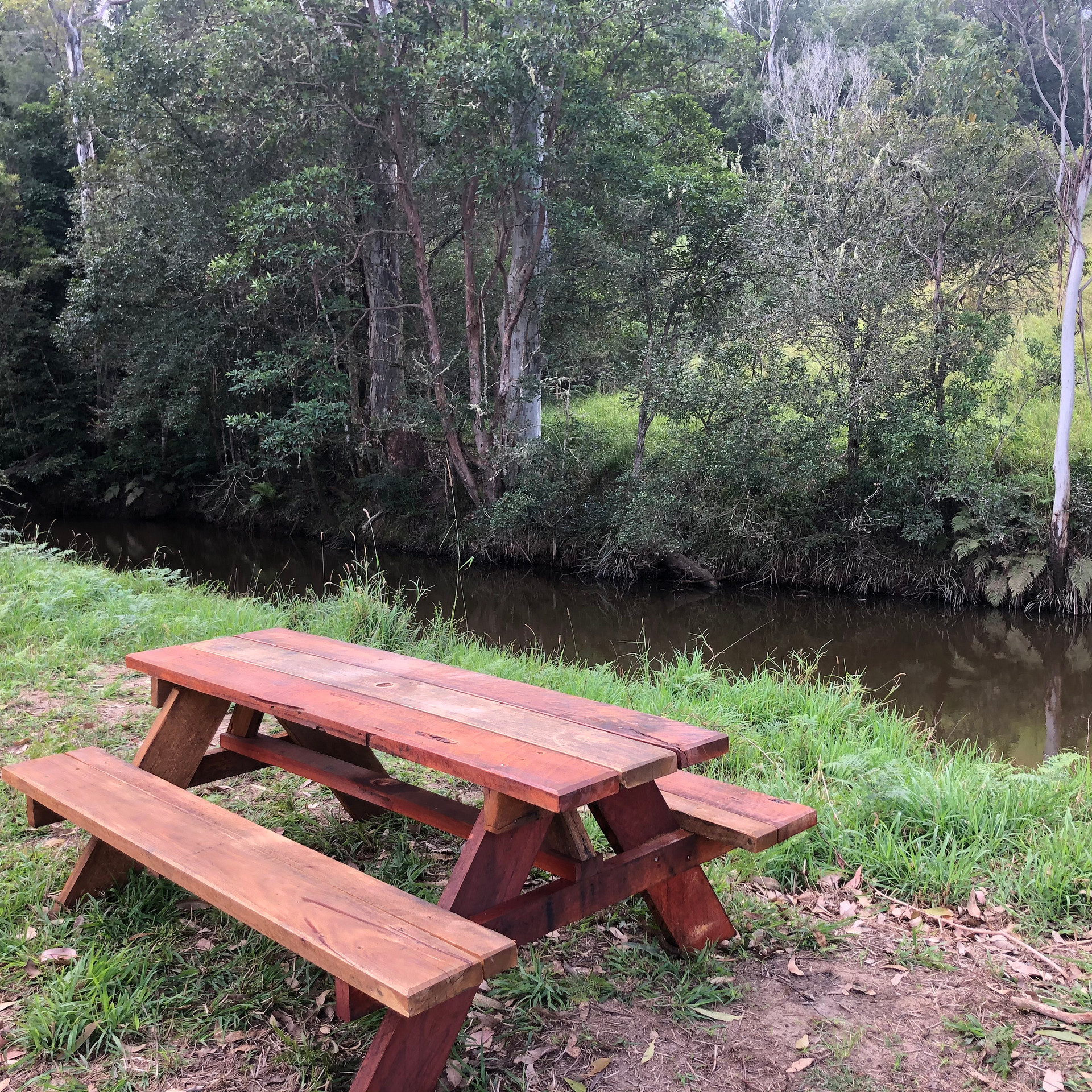 Levenvale Farm in Bellingen