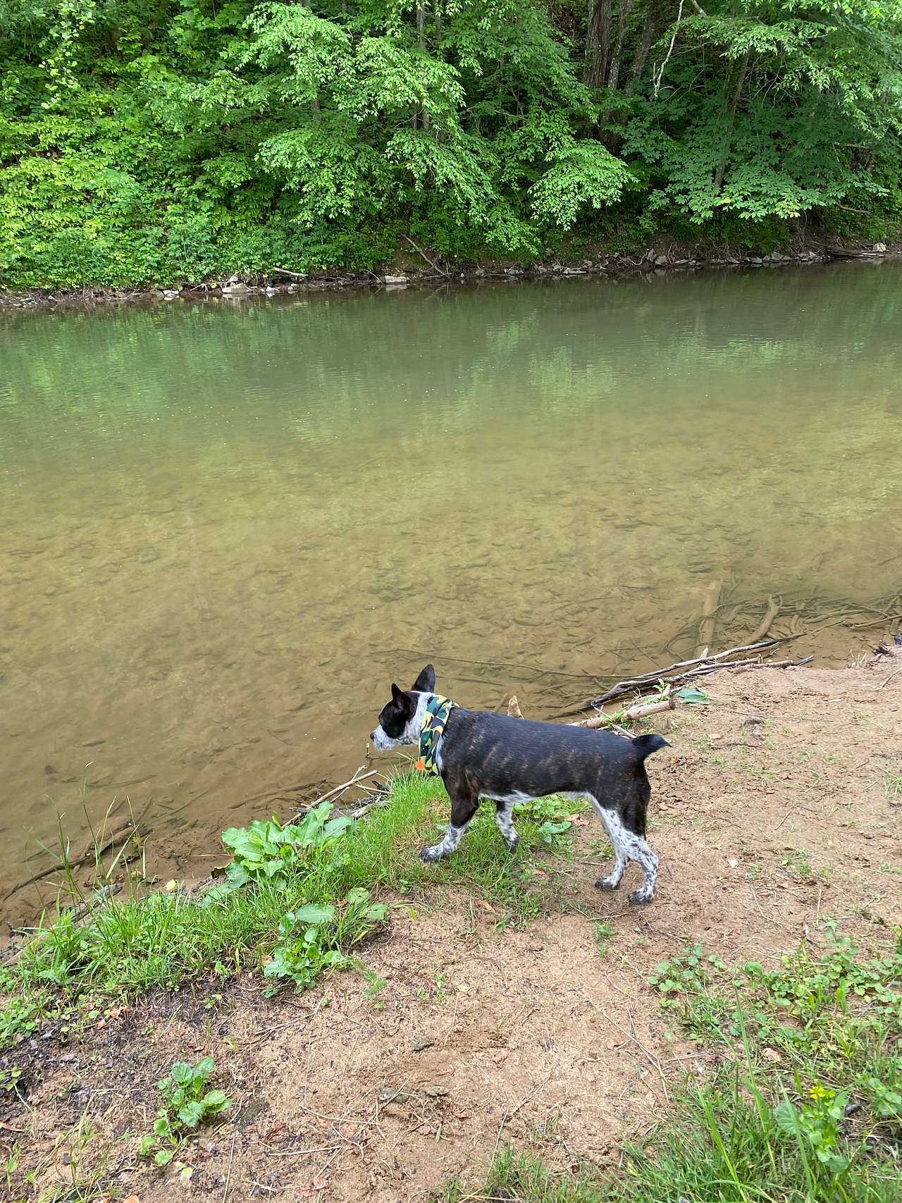 Beech Grove River Spot