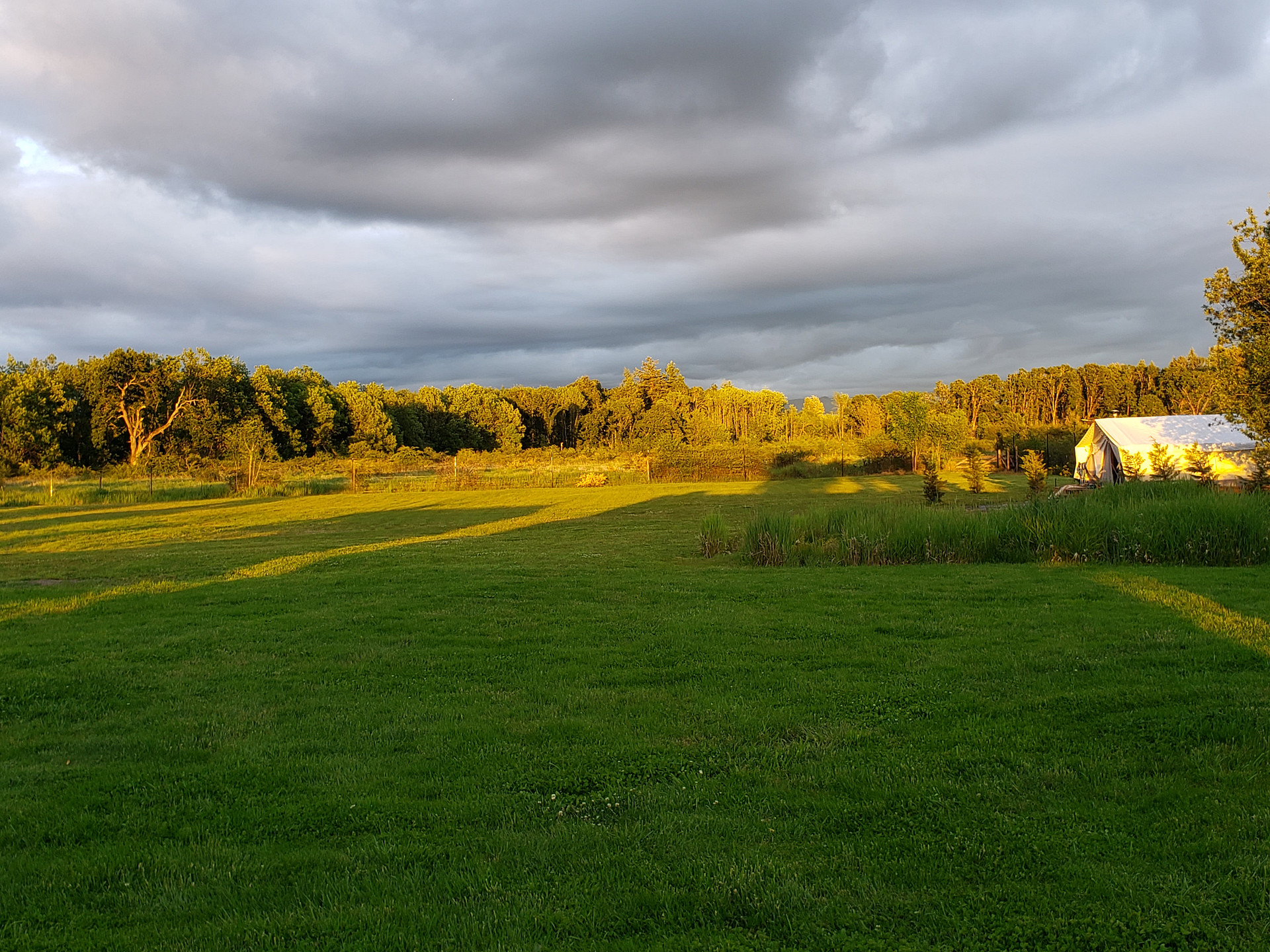 Miranda's Farm and Recreation
