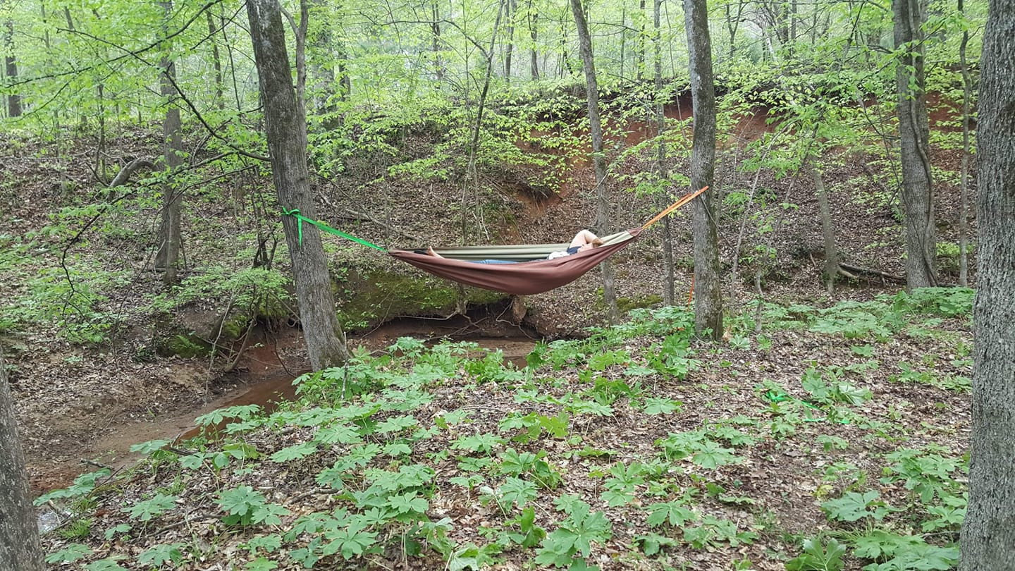 Woodland Wonderland.