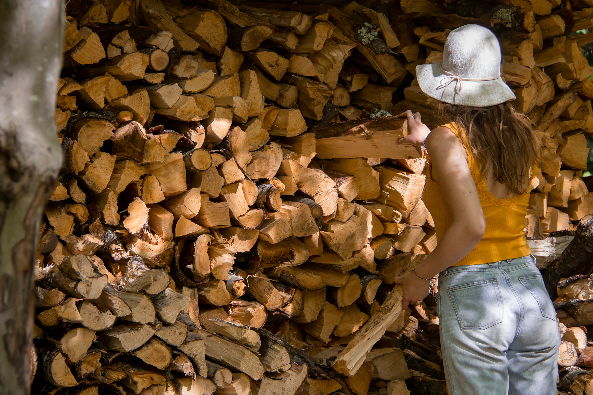 Free firewood provided to use at the many fire-pits around the campground.