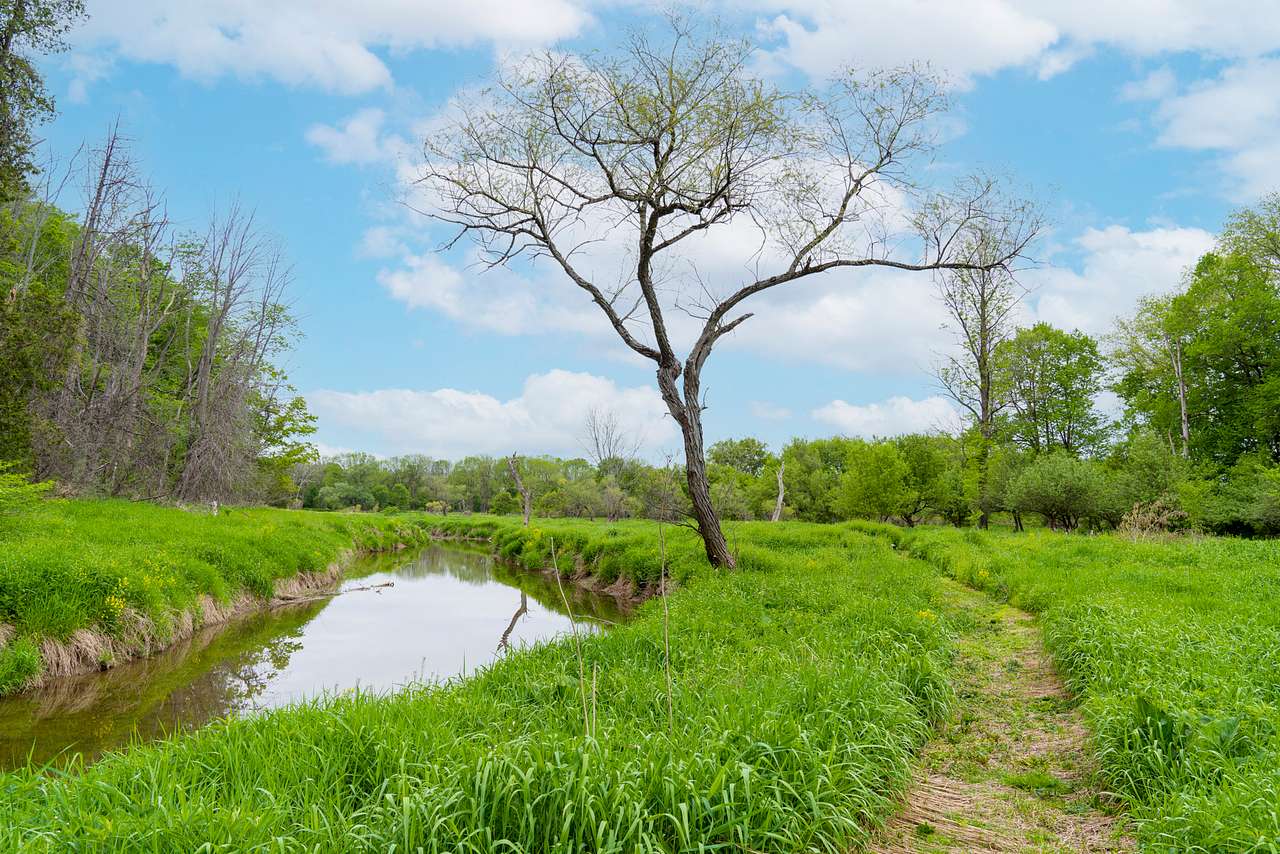 Hopkins Creek and the walking trail.