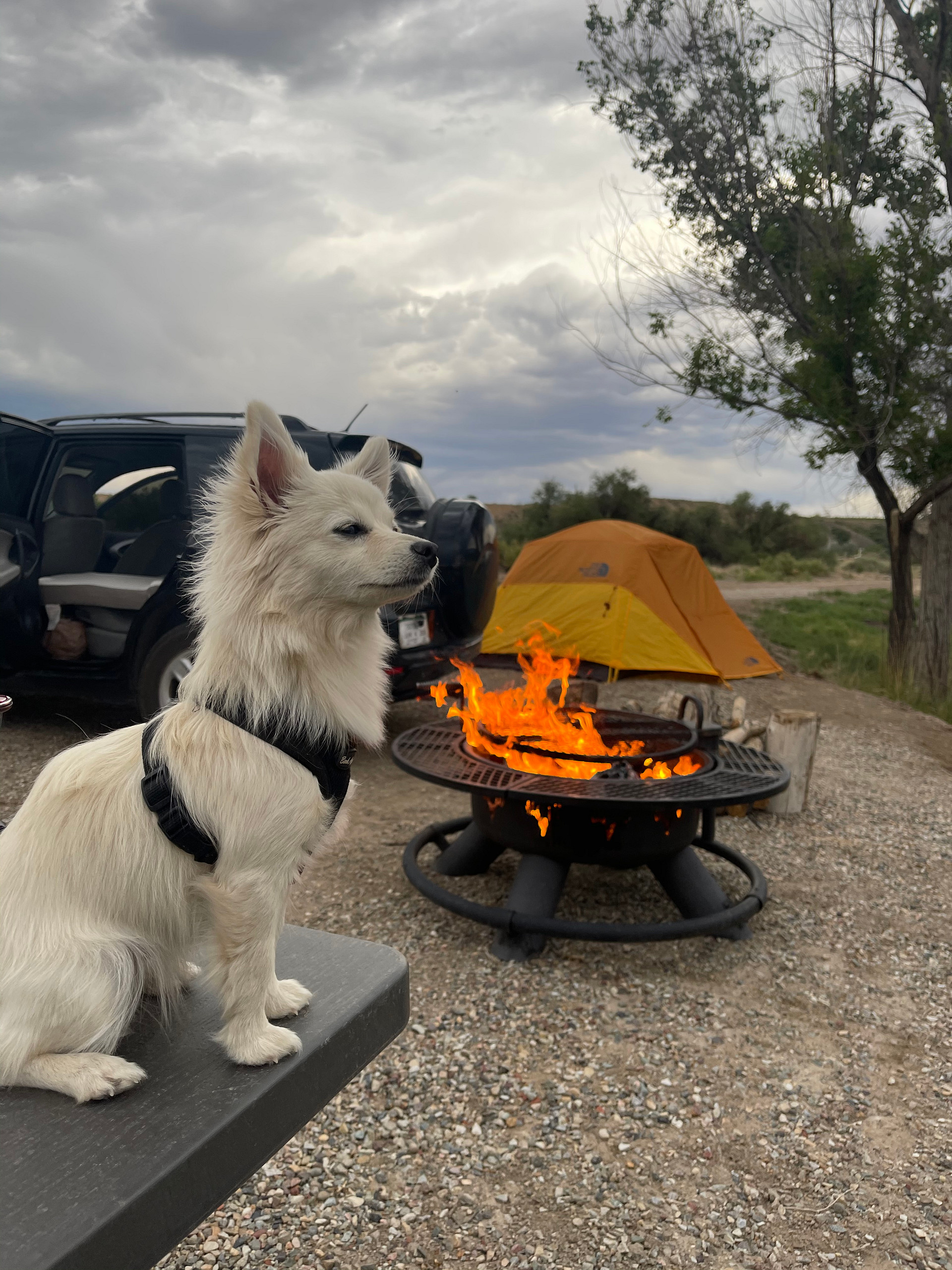 Lakeside Camping, Water Time :)