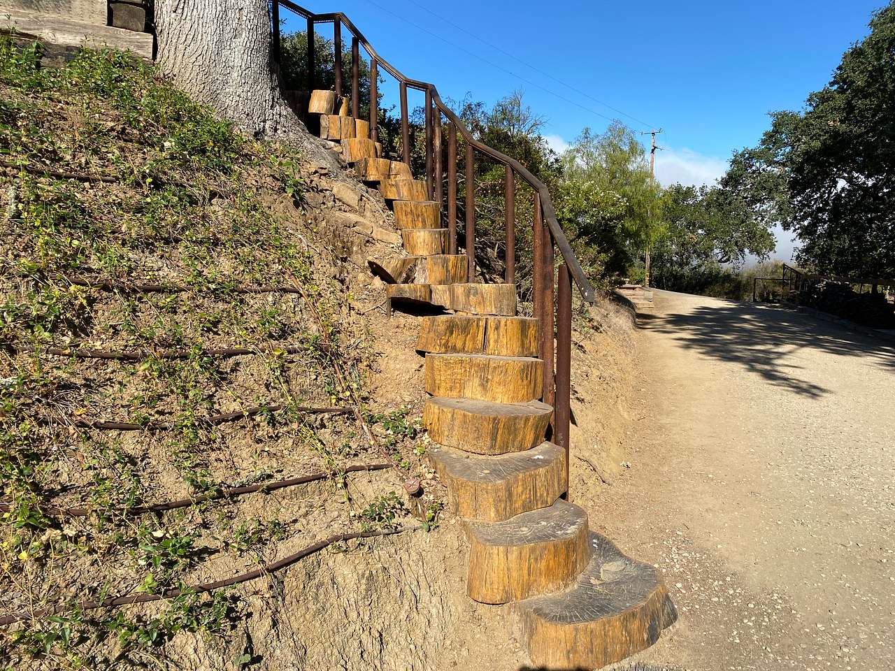 Log slice stairway