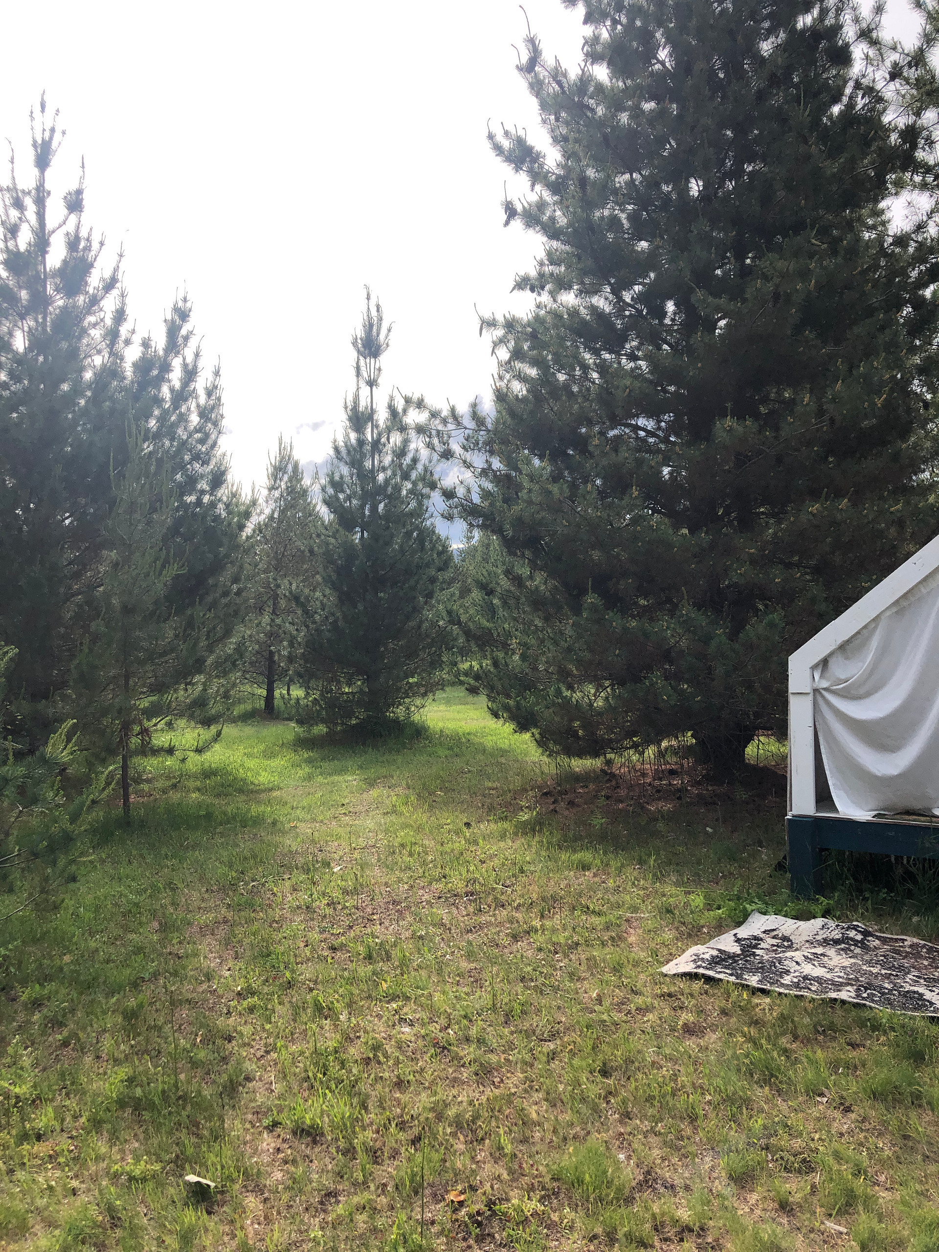 Grumpy Chicken Farm Camp