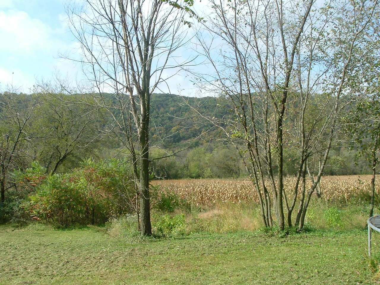 Tiny Home on the Hill