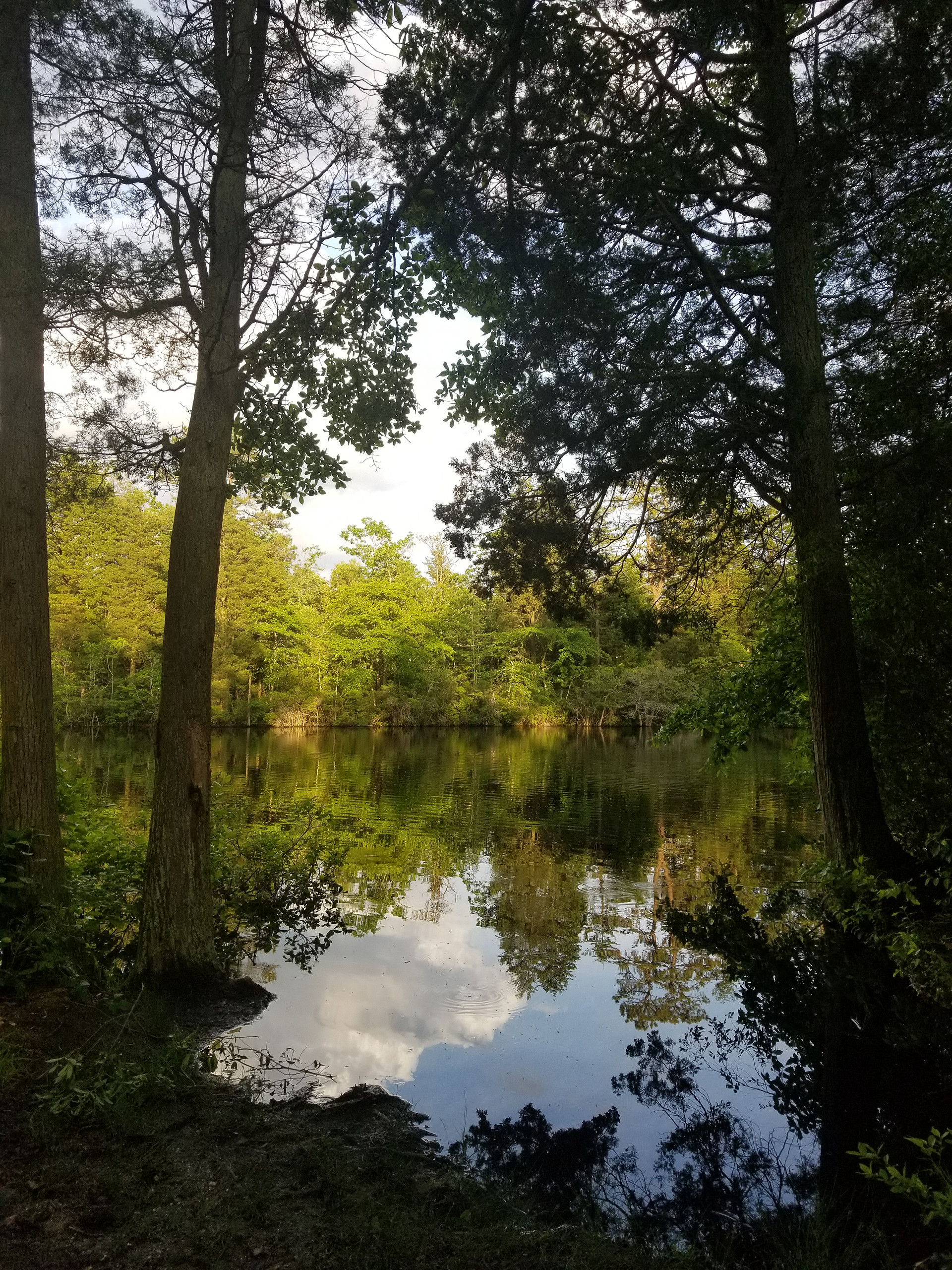 Various spots have lake views 