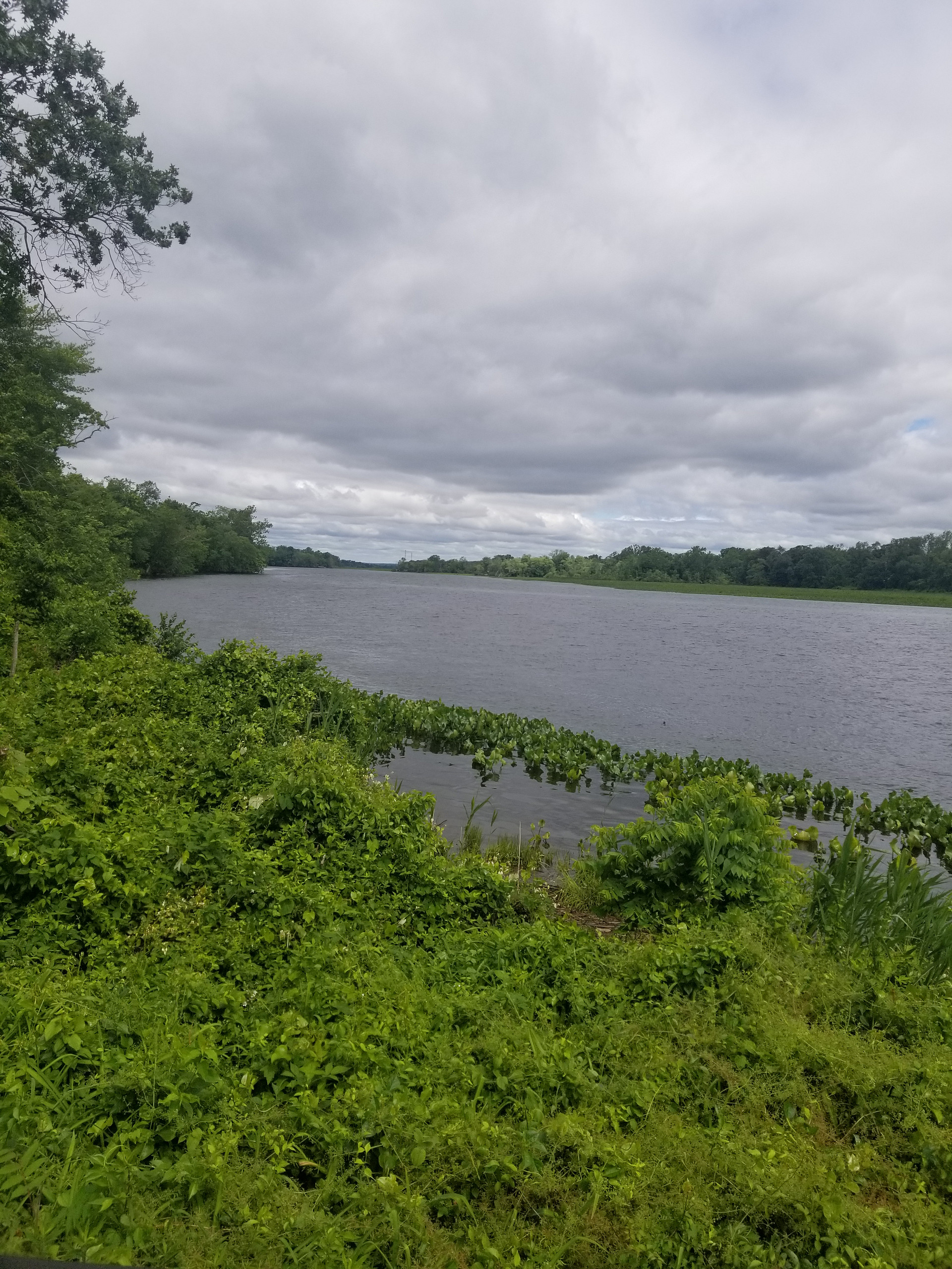 Lake nummy