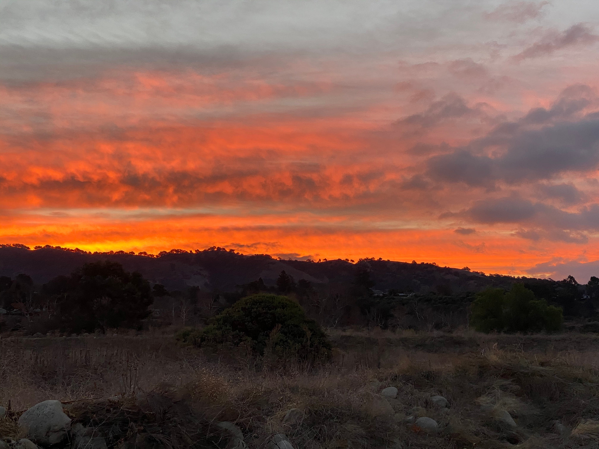 Arber-Moore's Ranch
