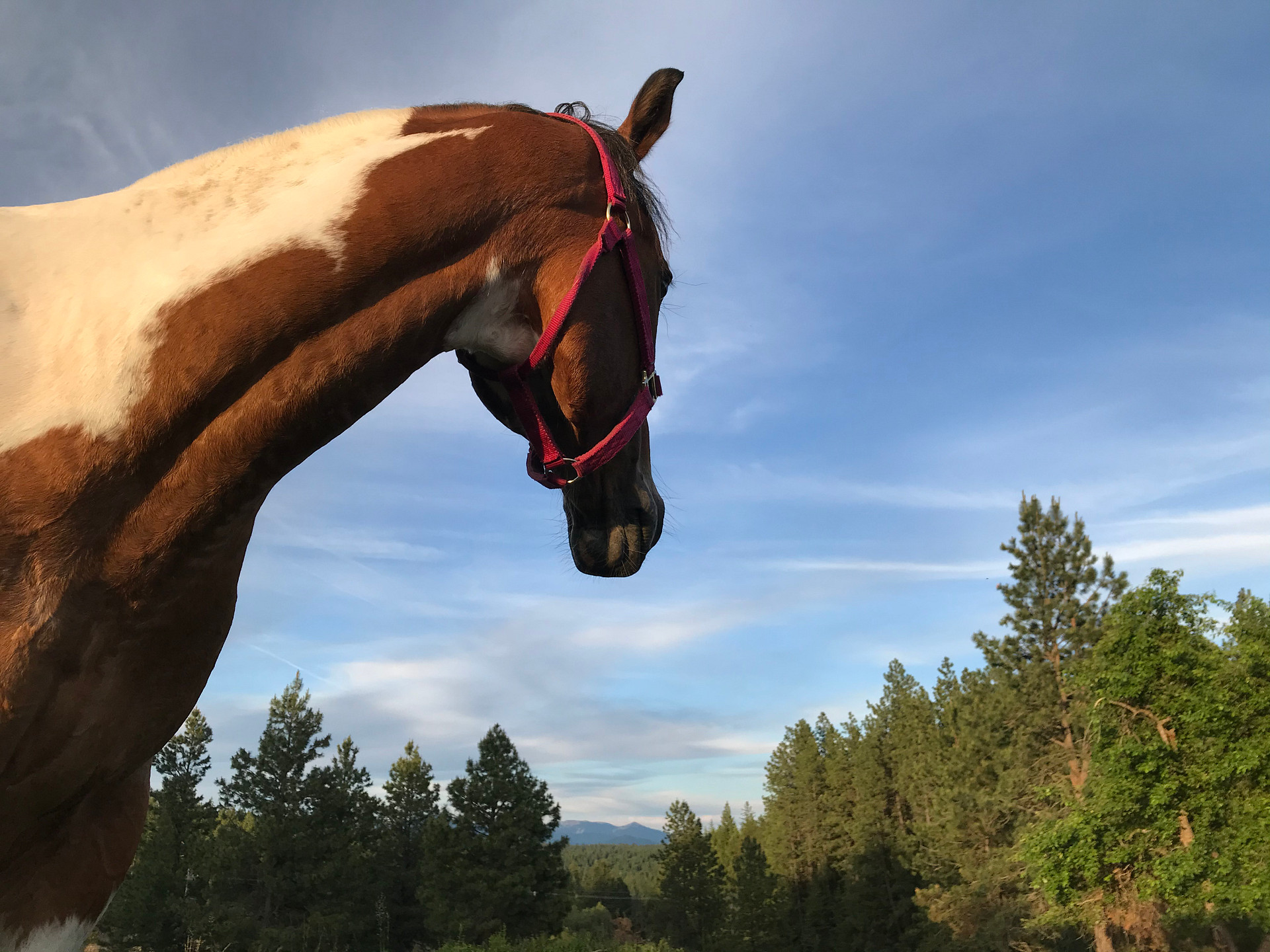 Parkside Mountain Ranch