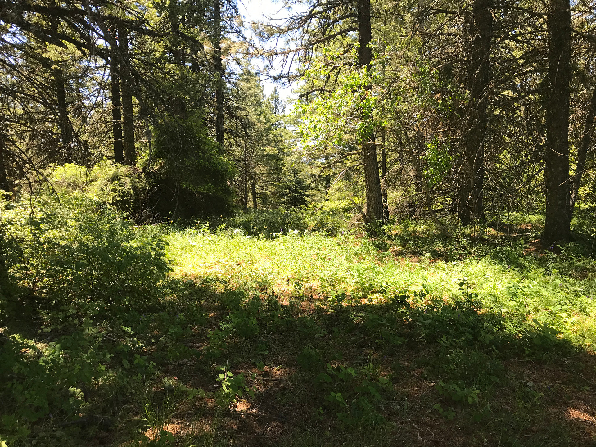 Parkside Mountain Ranch
