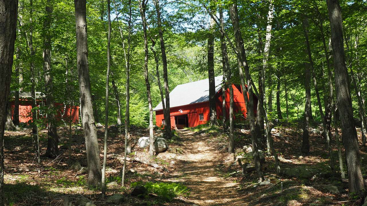 Blackburn Farm
