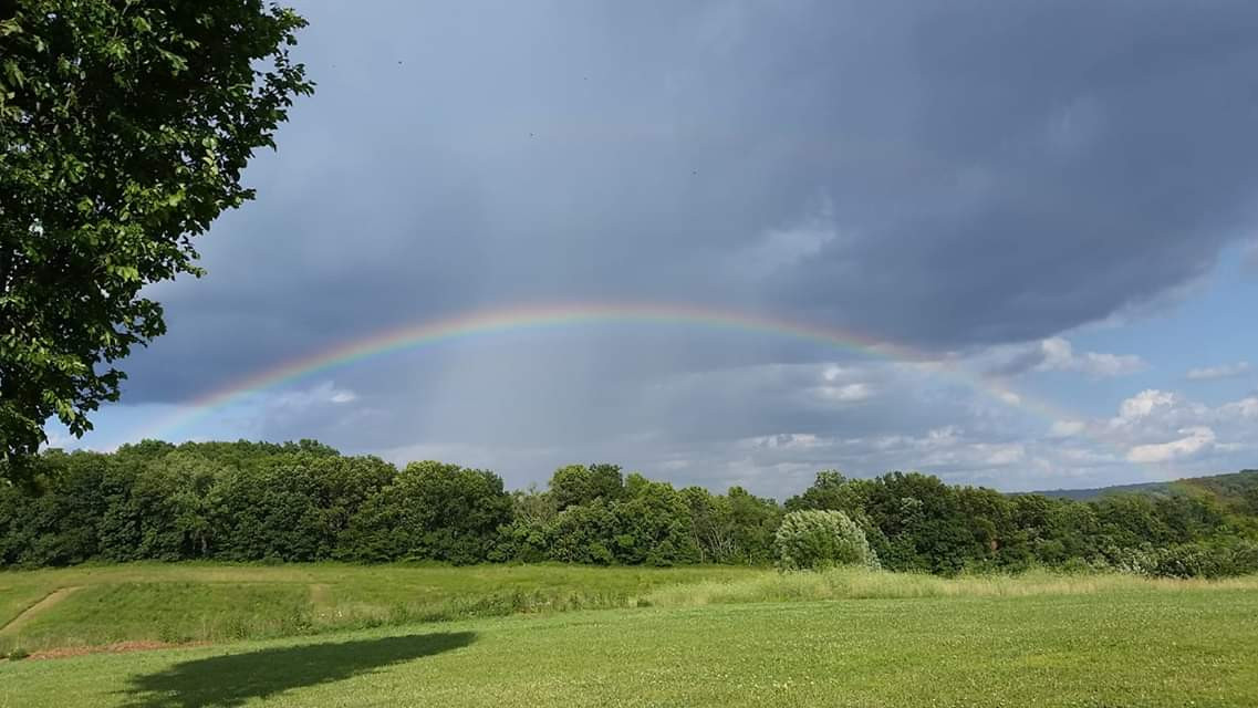 PeaceTree Farms