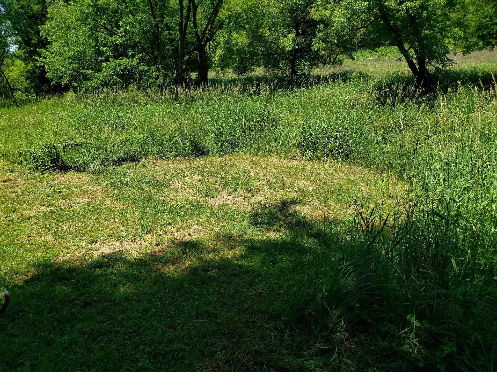 Driftless Haven 125 Acres & Creek