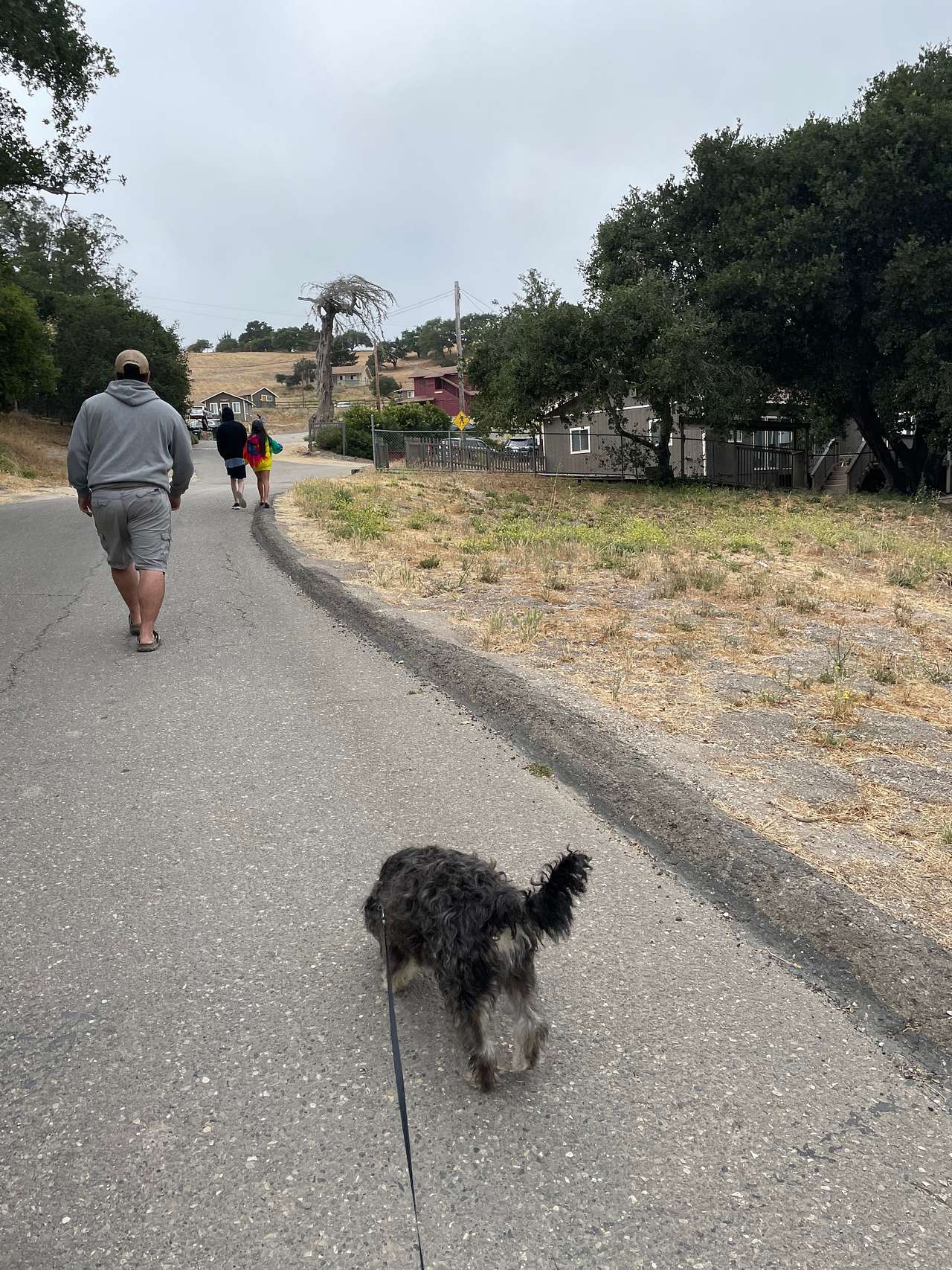 Camp Arroyo Grande
