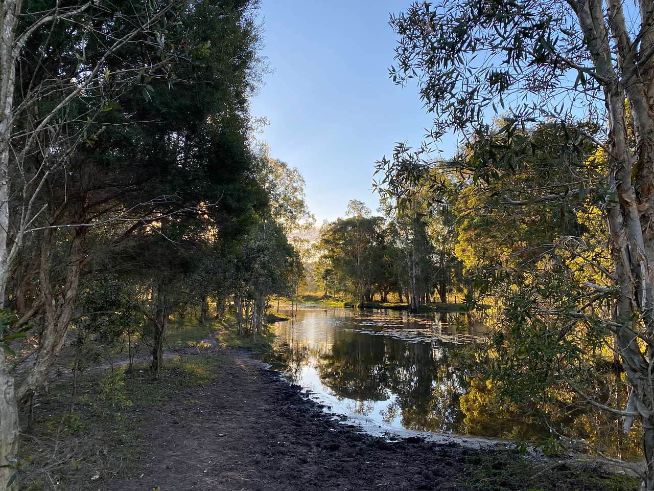The sunset over the dam and through the trees was stunning. 