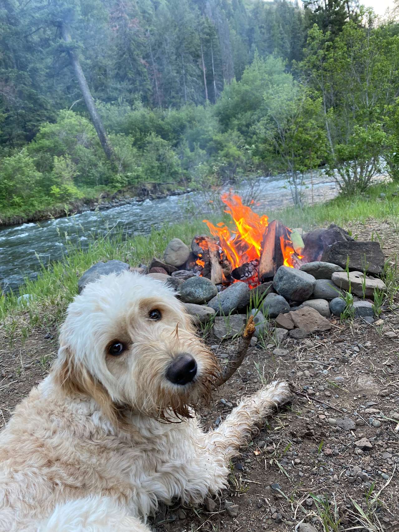 Serenity on the River