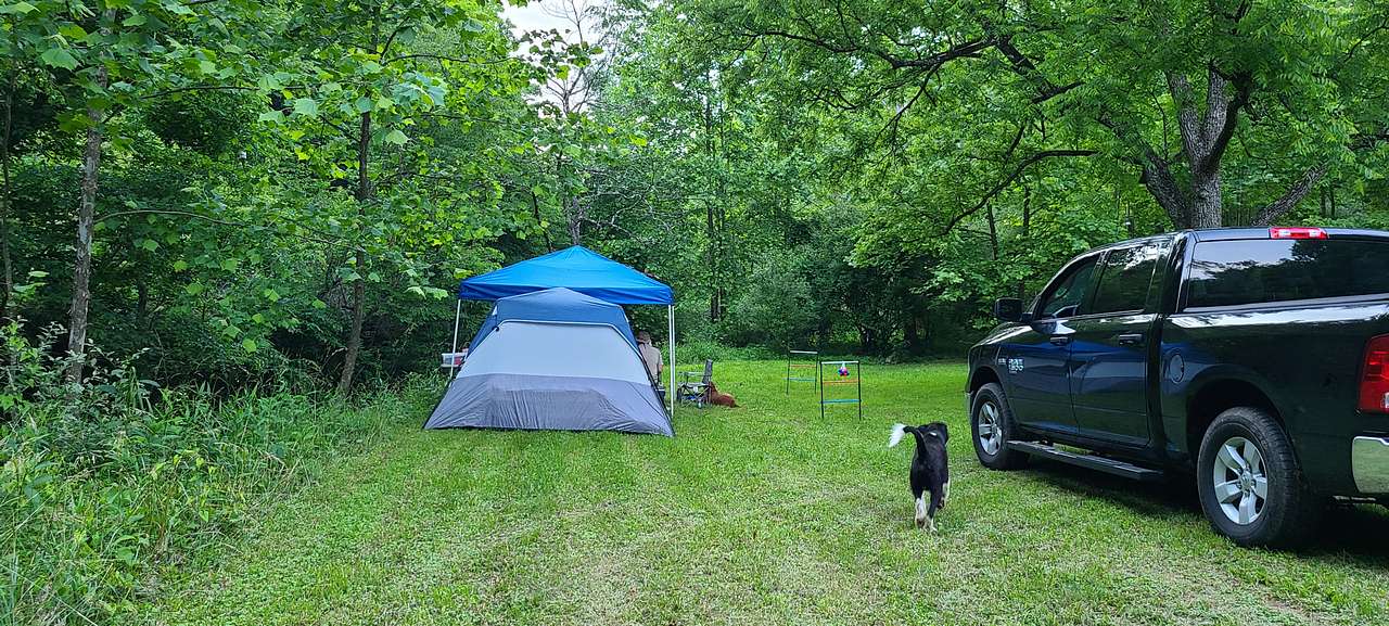 Coon Creek Cove Hideaway