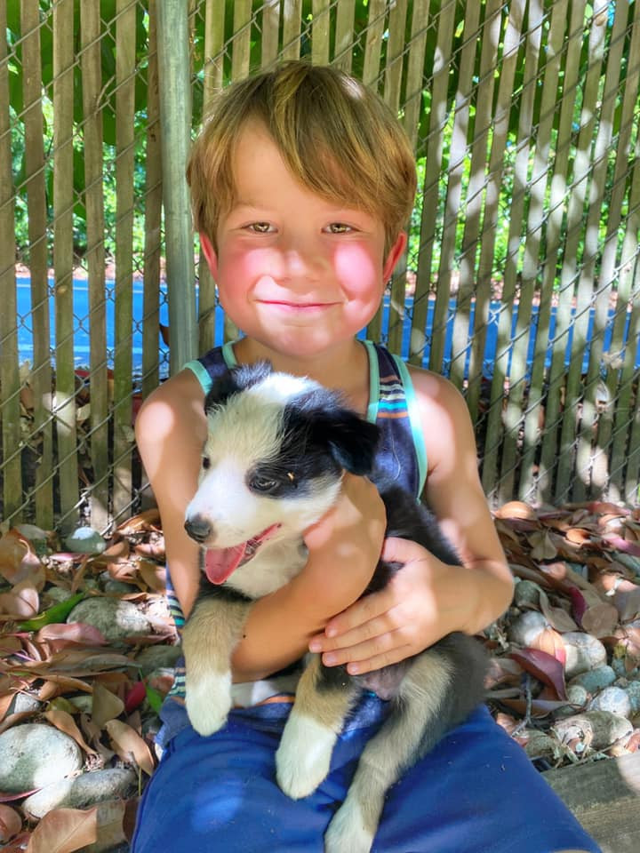 Visiting the nearby mini farm that belongs to our hosts' daughter. They had puppies when we visited.