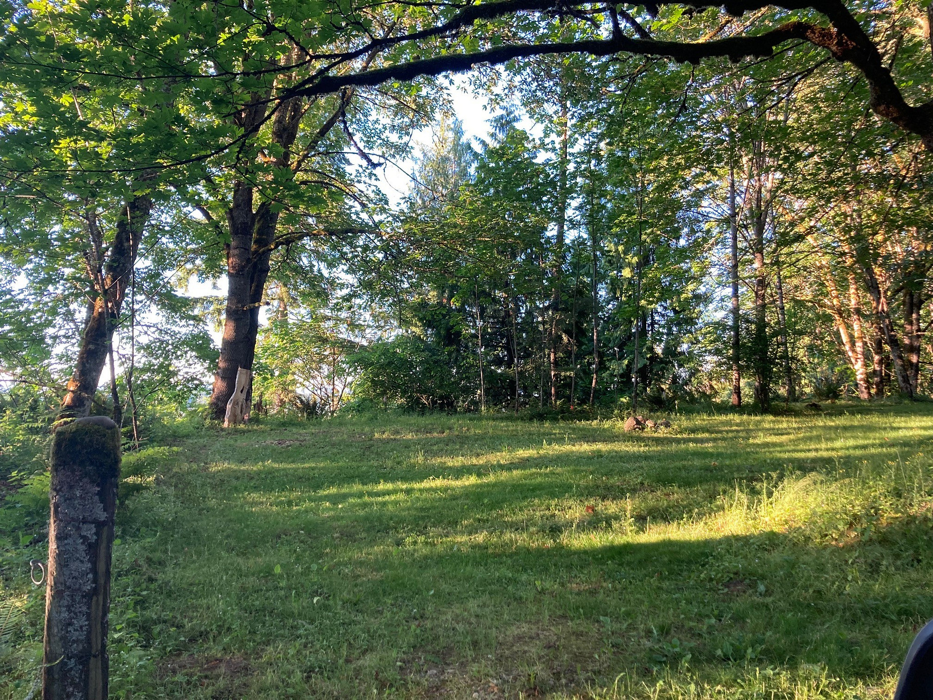 Tent site #1