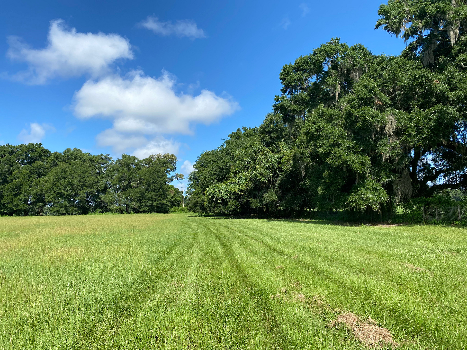 Glenn Farm