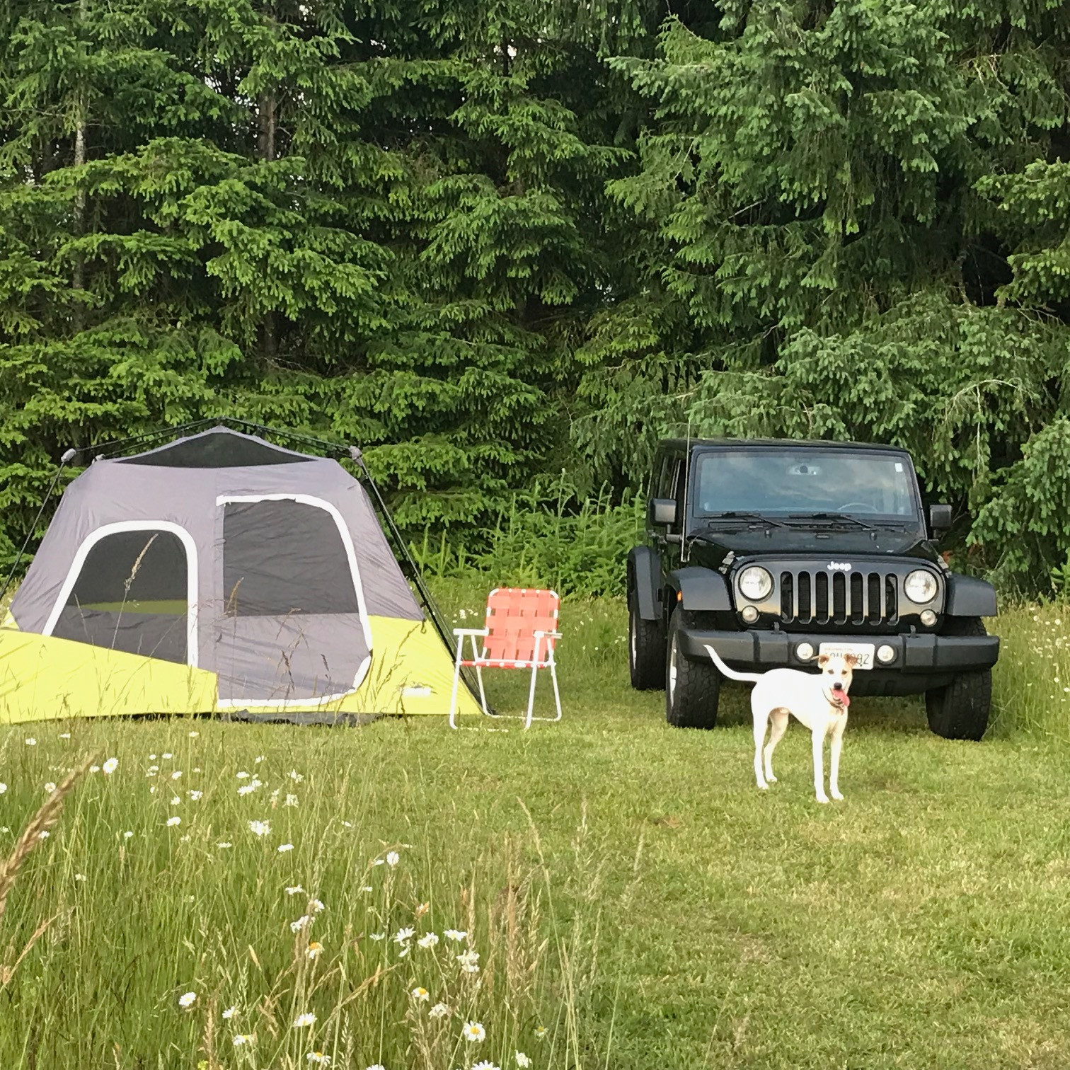 Nico posing to show you your potential campsite!