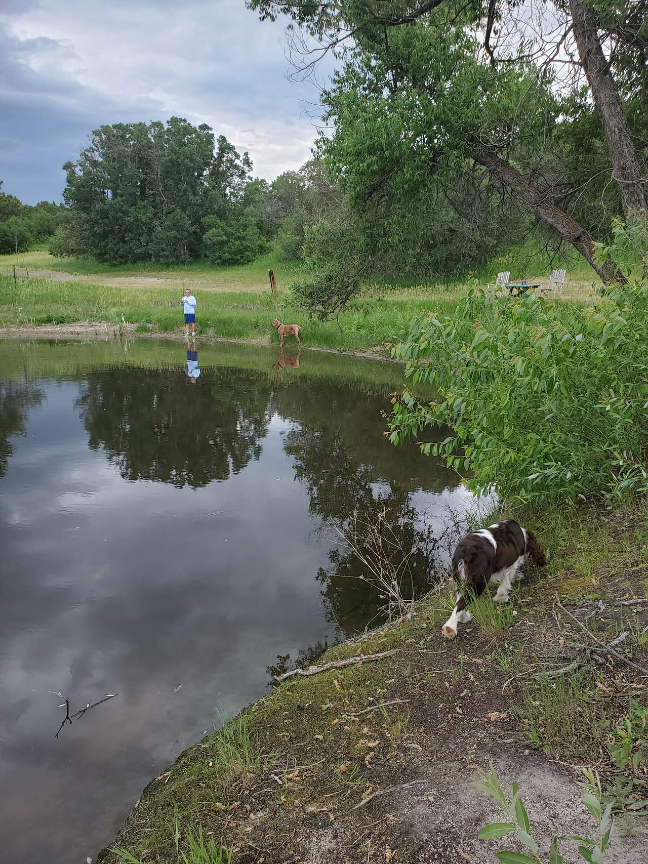 Colorado Meadows & Fishing Pond