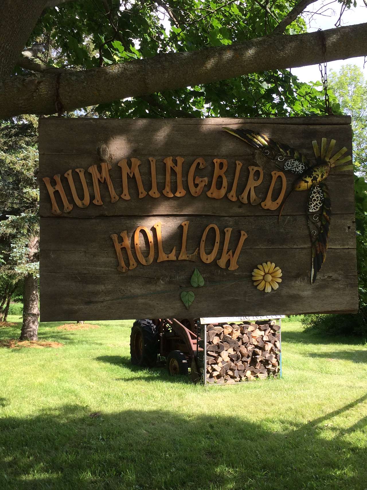 Humming Bird Hollow