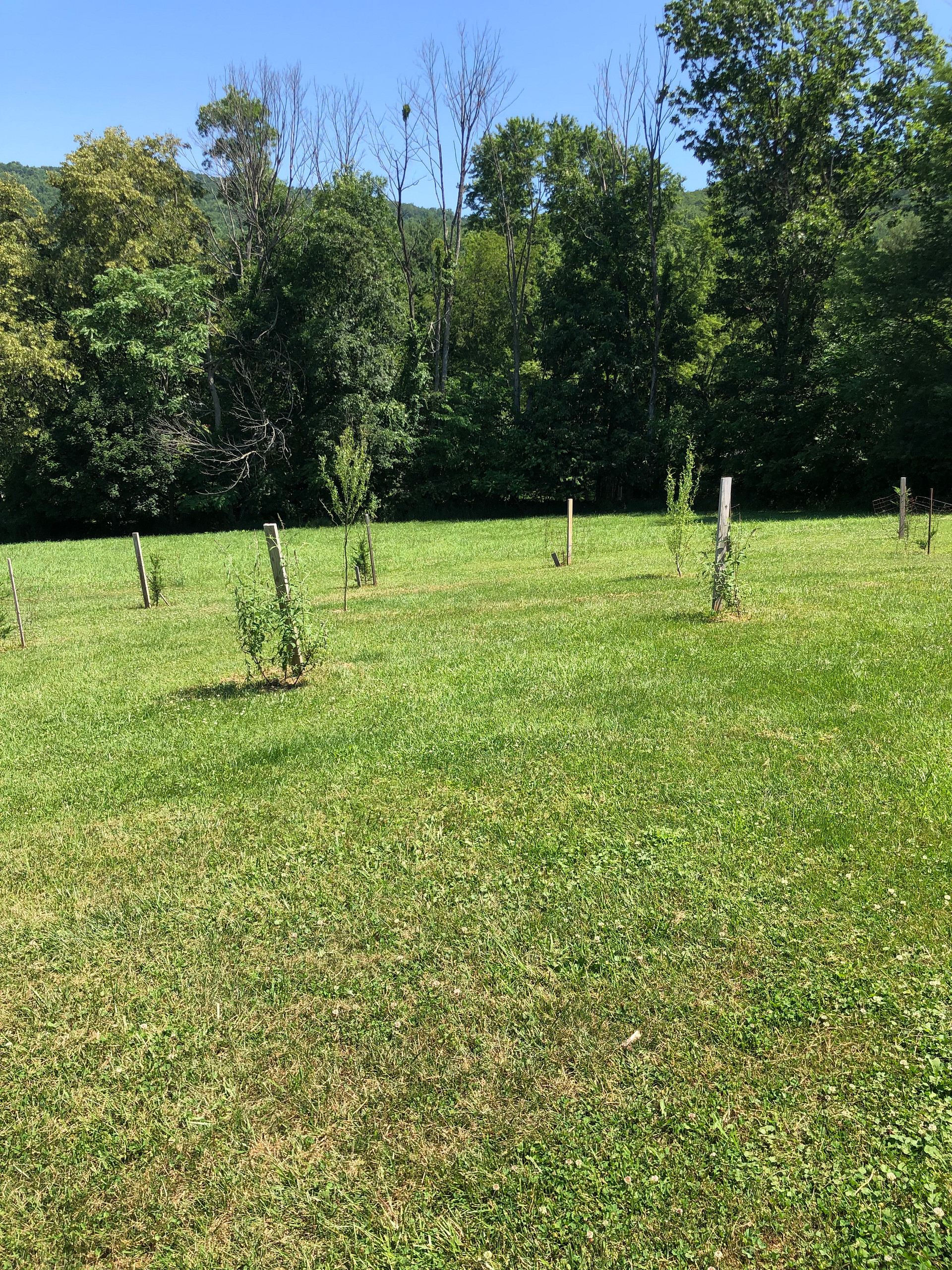 Deer haven campsites