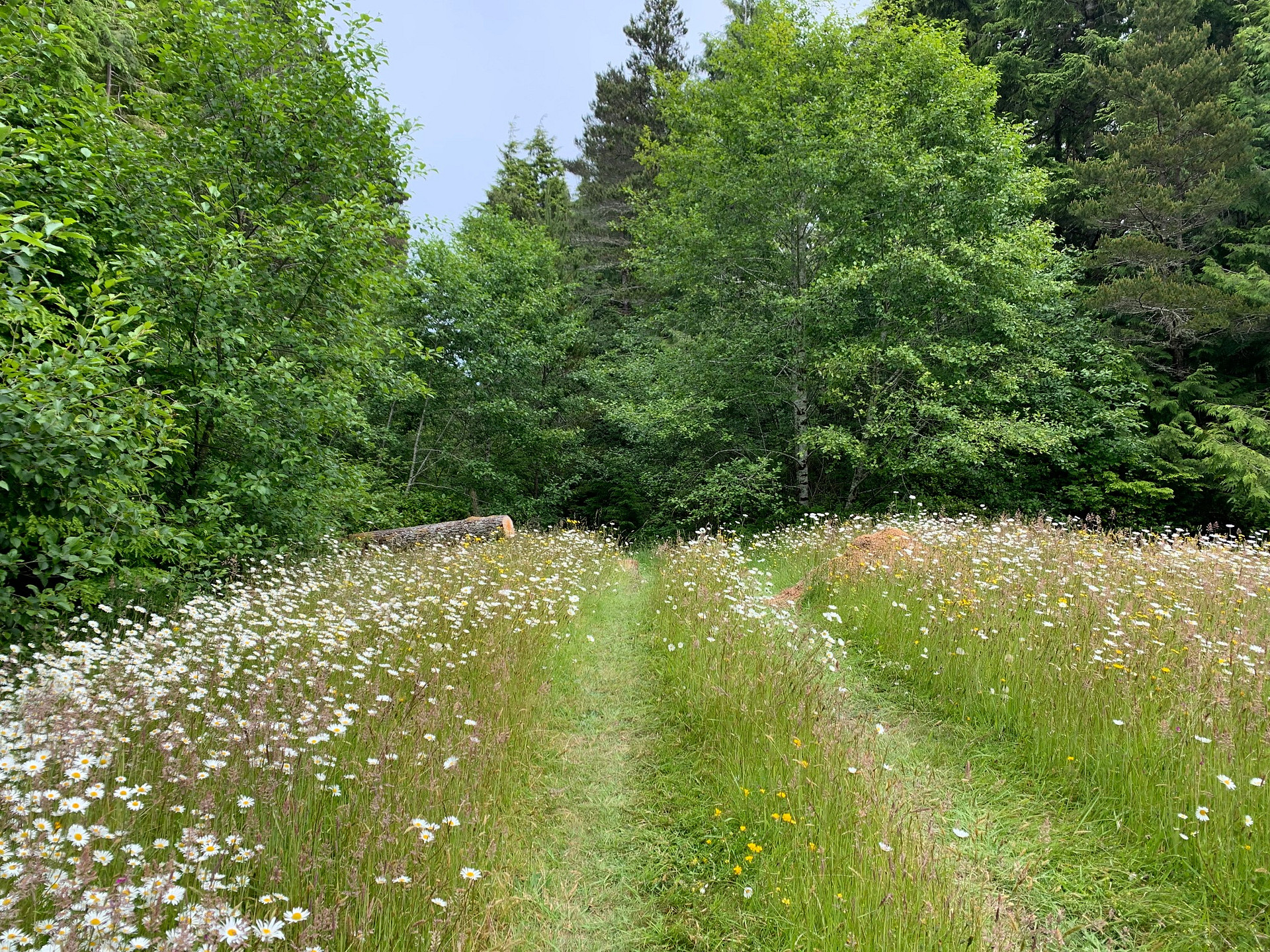 The entry to trailhead to camp sites.