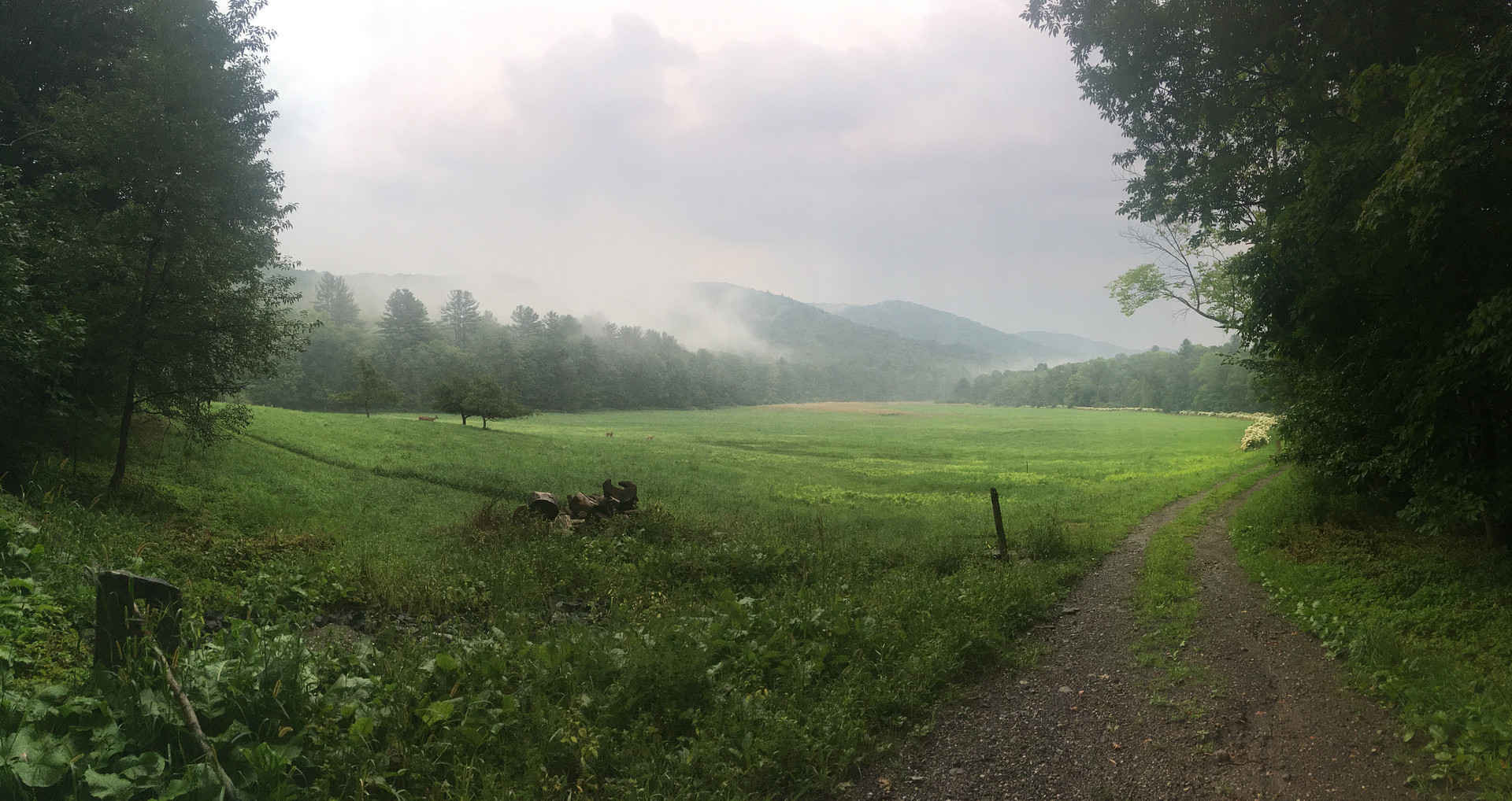 Along the Green River valley, about 1.5 miles from the Springs Farm and campsite