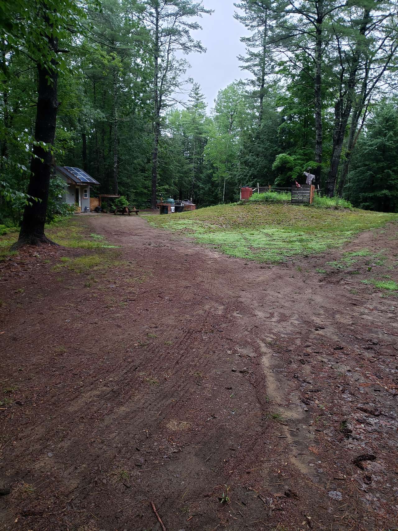 Camp in the woods