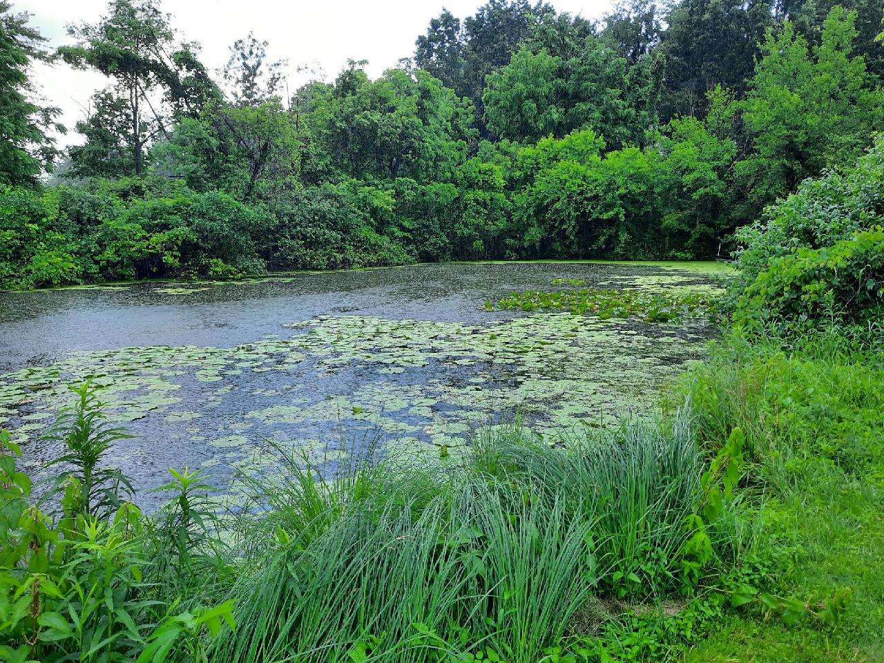 Shipshewana lake with channel