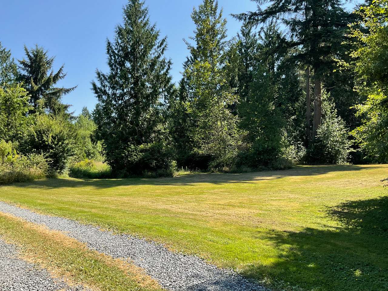 Private setting under tall trees