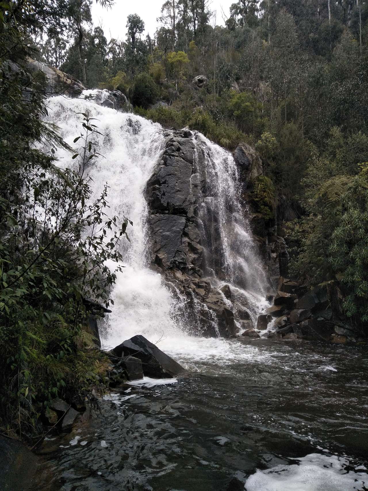 Murundindi scenic reserve