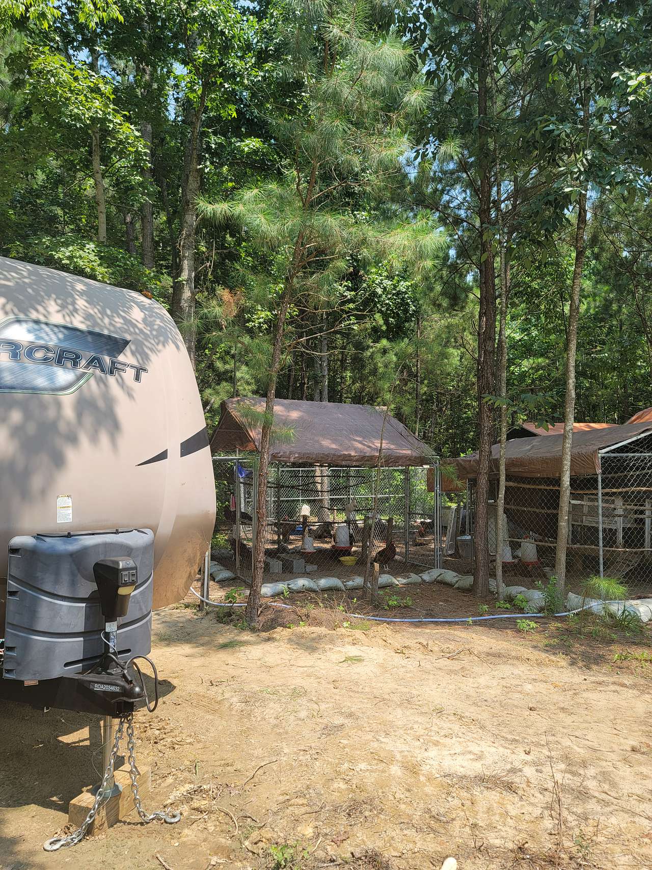 The chickens and roosters right next to us were a focus for our family on this trip