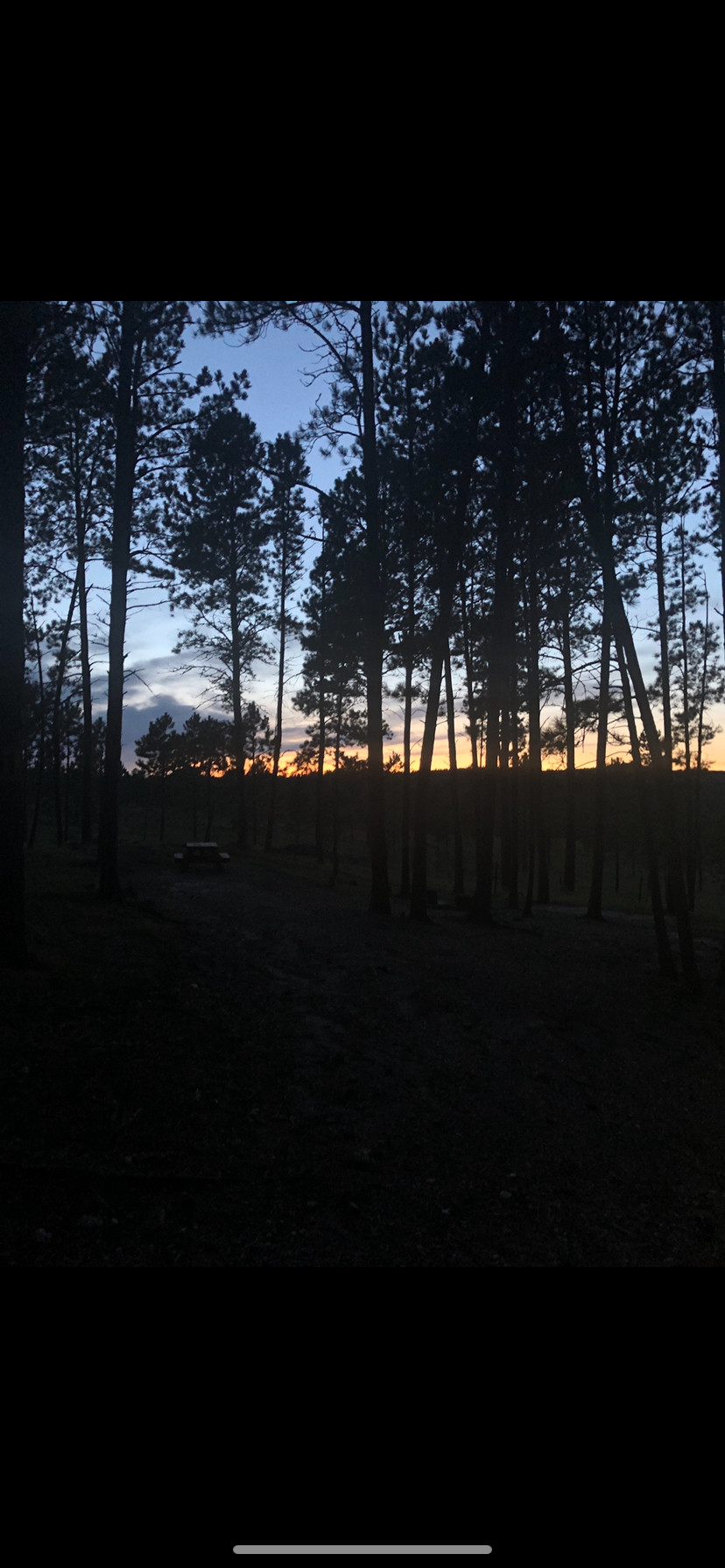 Big Pine Campground