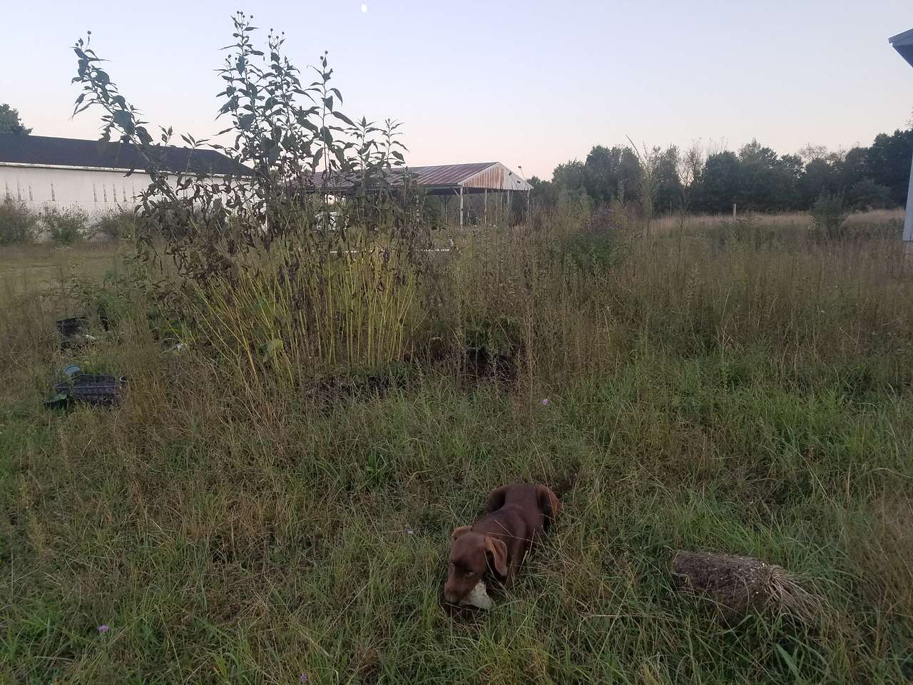 Near the back side of main house