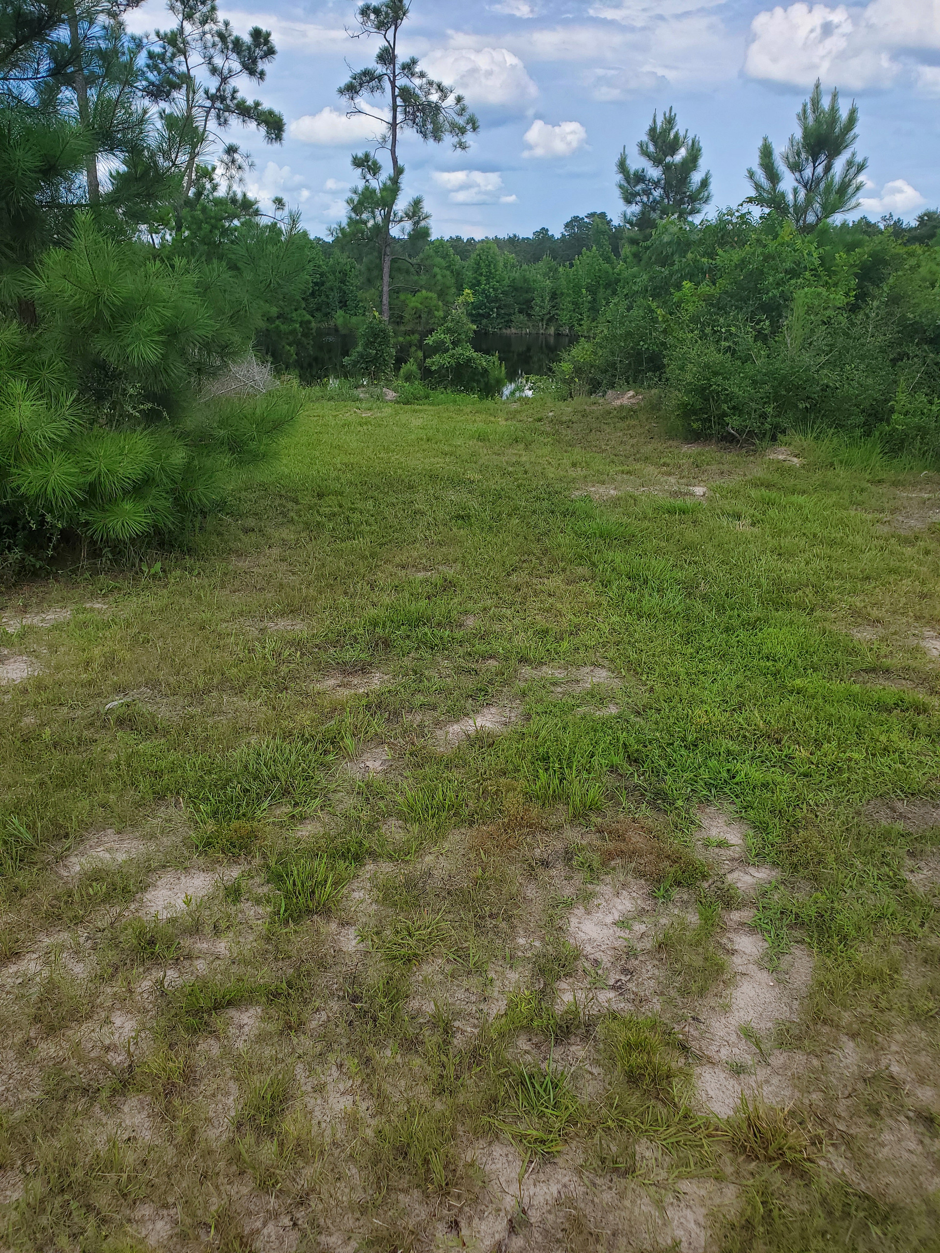The Rock Pit