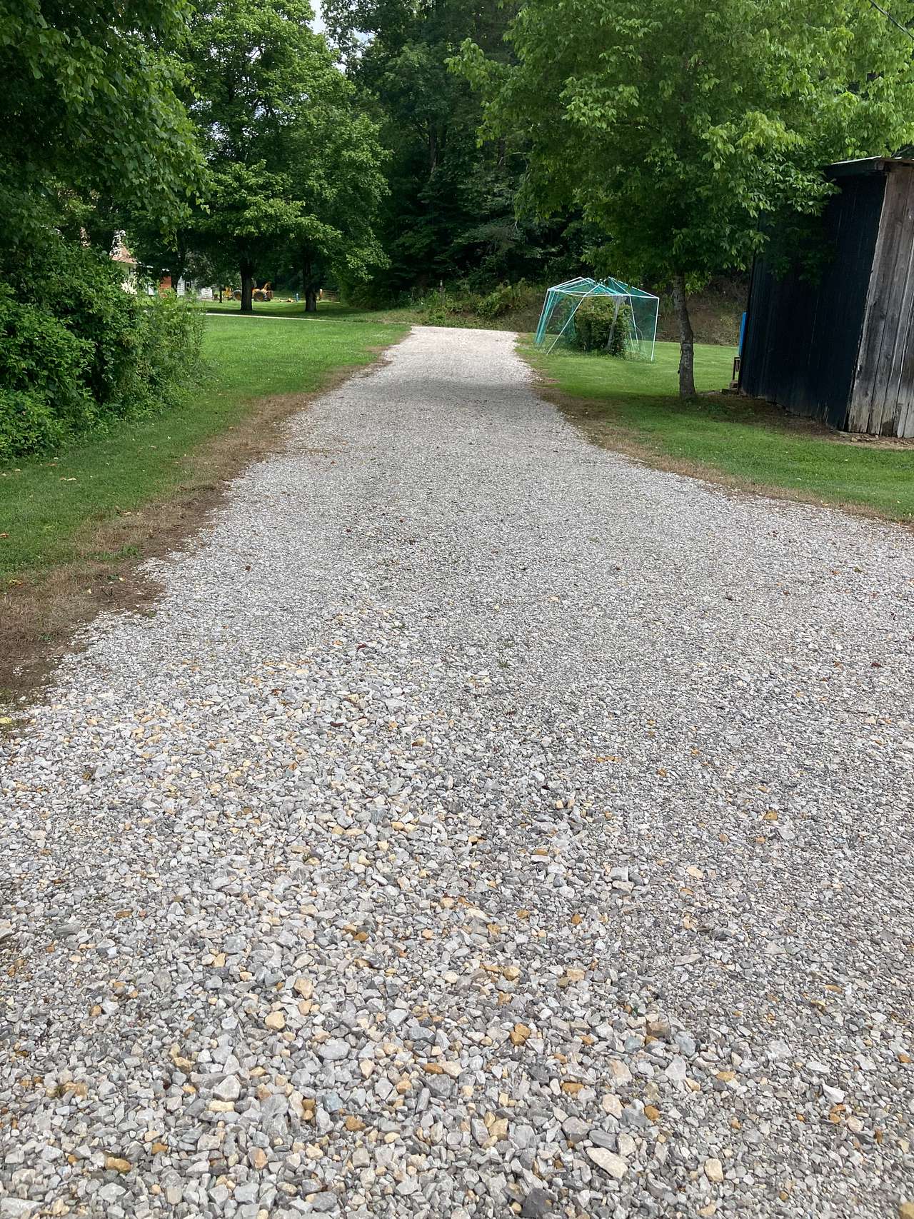 Pine Tree RV Park