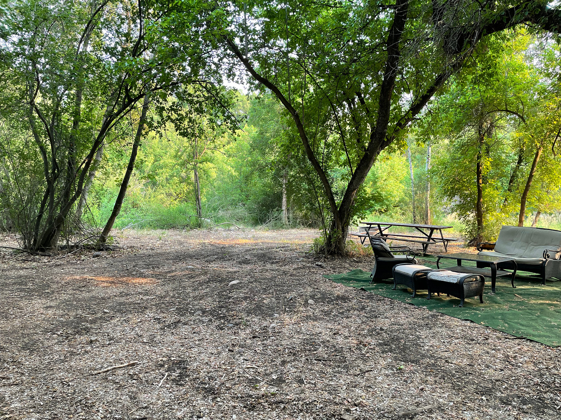 Secluded Maple Creek River bottoms