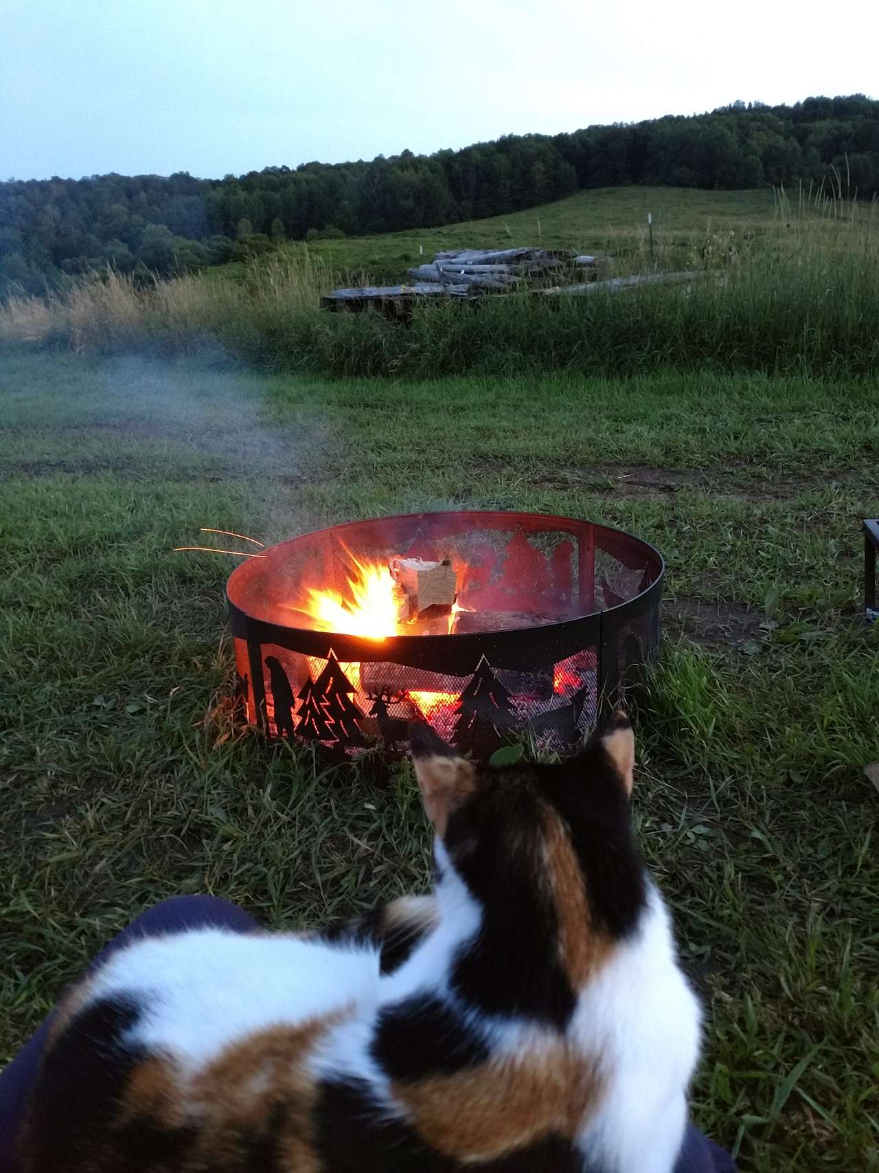 Feather and Hoof Tent Campsite