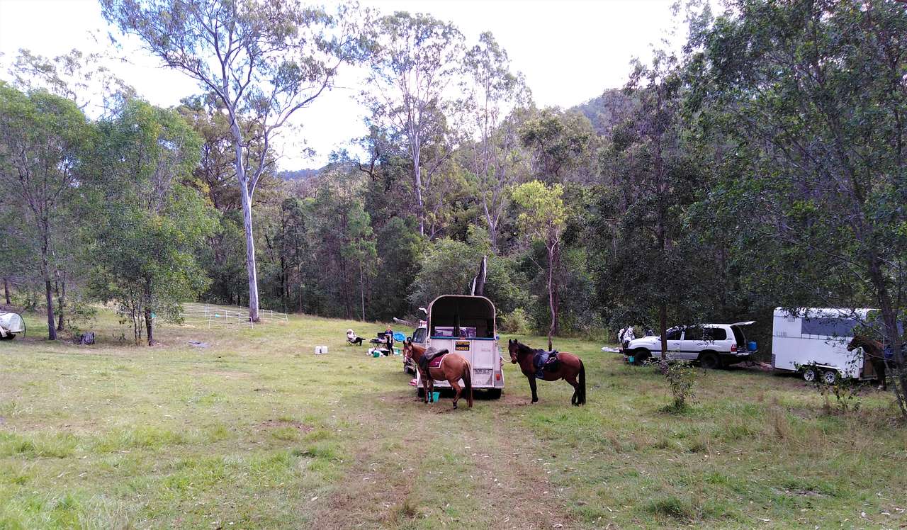 Setting up for a horse riding camp