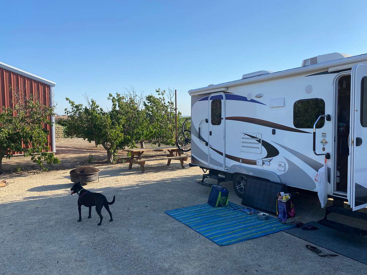 Campsite in the Vineyard