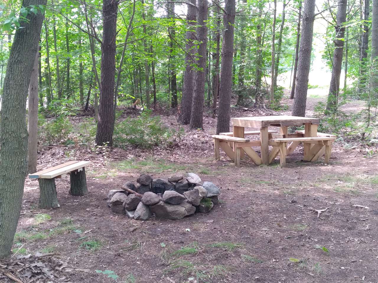 Black Maple Farm