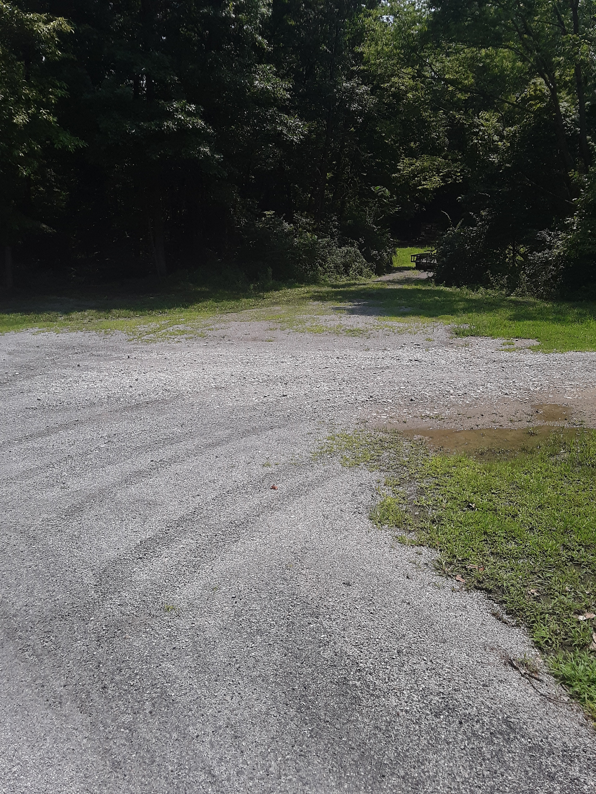 Crystal Springs