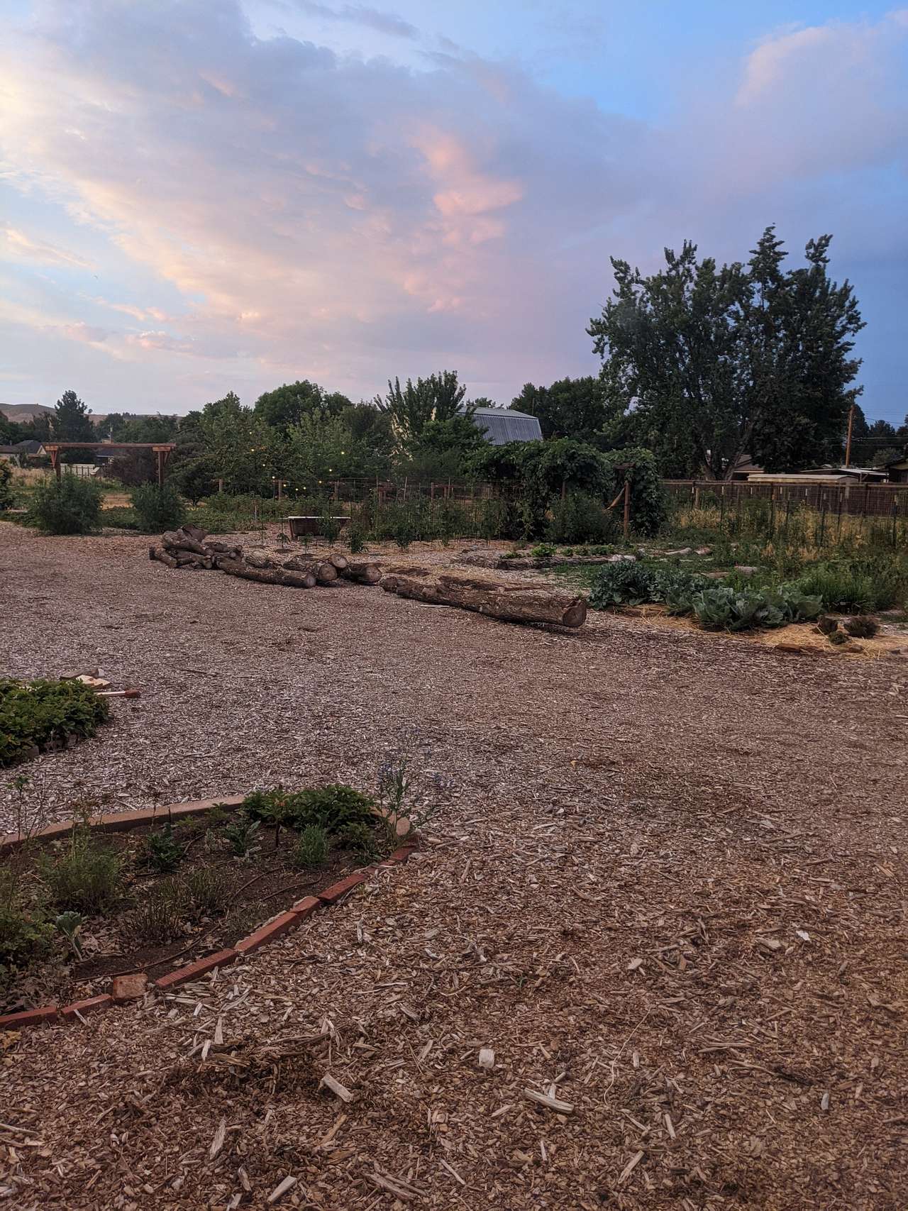 Butterfield Farms